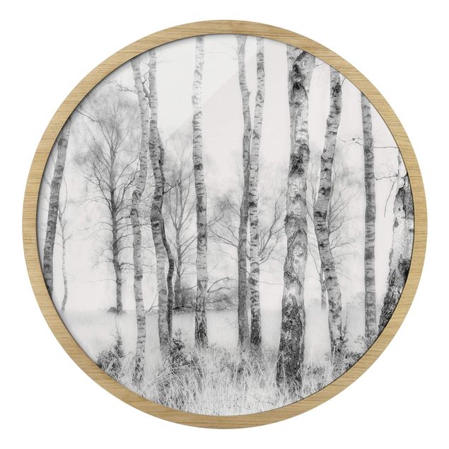 Runde Bilder mit Rahmen Mystic Birch Forest Black And White