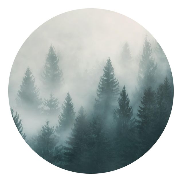 Fototapeter skogar Coniferous Forest In Fog