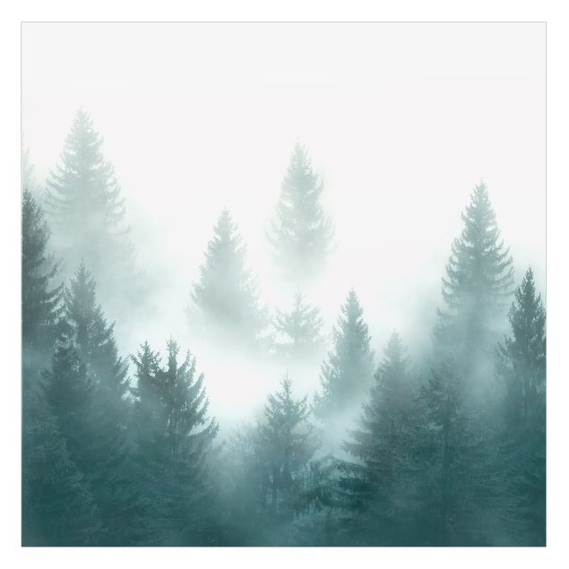 Fönsterfilm - Coniferous Forest In Fog