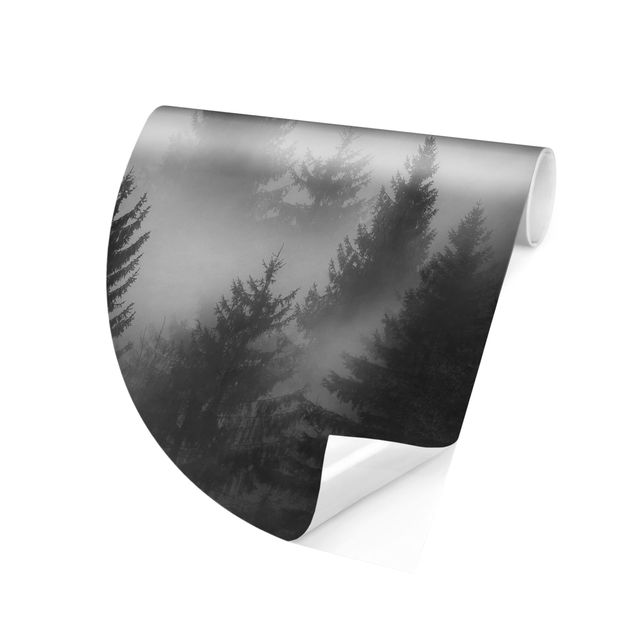 Fototapeter svart och vitt Coniferous Forest In The Fog Black And White