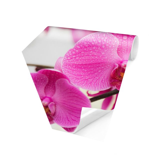 Hexagonala tapeter Close-Up Orchid