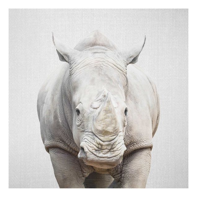 Tavlor svart och vitt Rhinoceros Nora