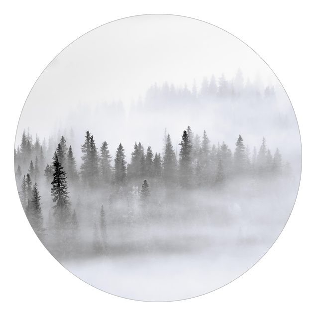 Fototapeter landskap Fog In The Fir Forest Black And White