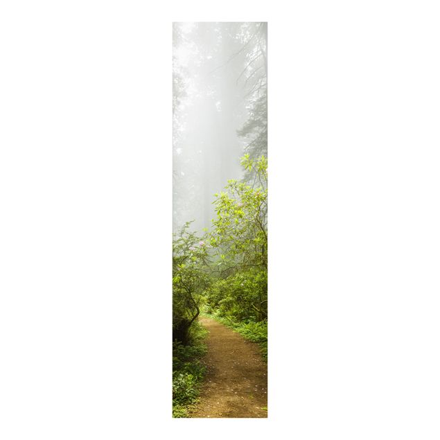 Panelgardiner landskap Misty Forest Path