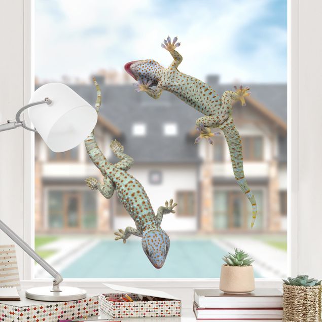 Kök dekoration Curious Geckos