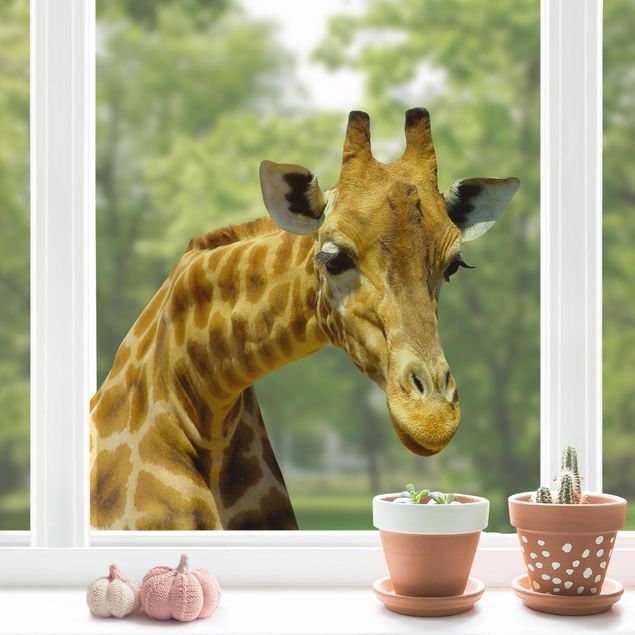 Inredning av barnrum Curious Giraffe