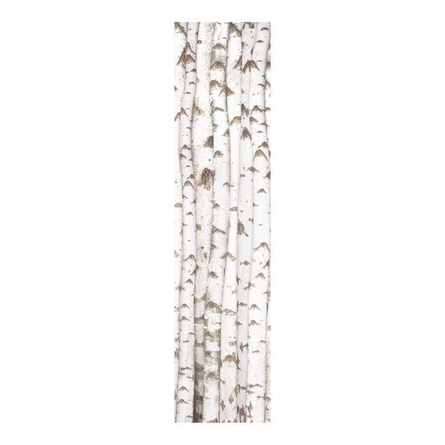 Panelgardiner mönster No.YK15 Birch Wall
