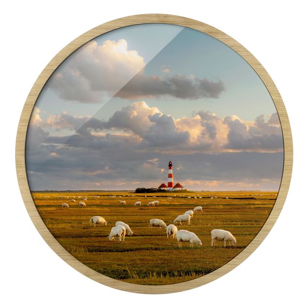 Tavlor med ram stränder North Sea Lighthouse With Flock Of Sheep