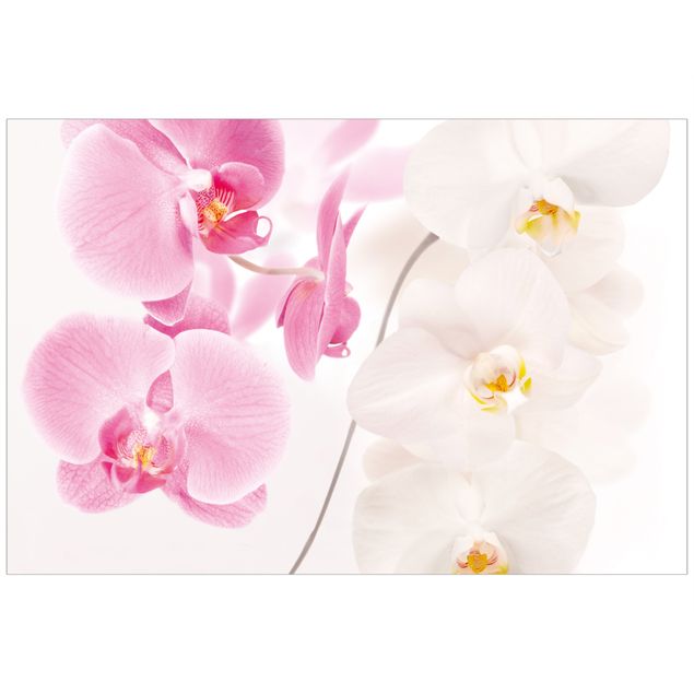 Självhäftande folier Delicate Orchids
