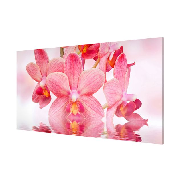 Magnettavla blommor  Light Pink Orchid On Water