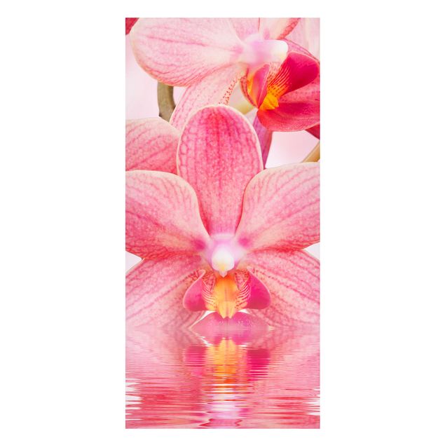 Kök dekoration Light Pink Orchid On Water
