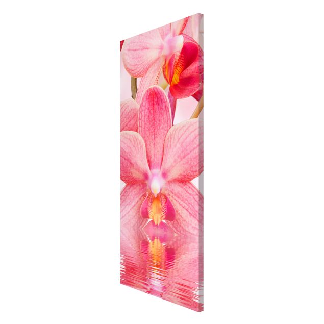 Magnettavla blommor  Light Pink Orchid On Water