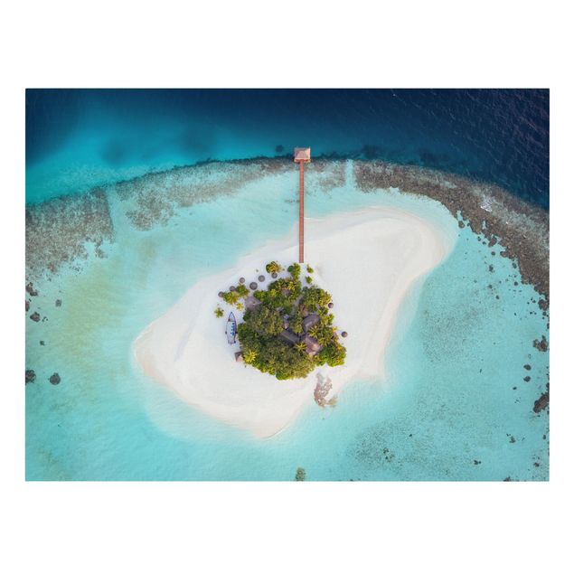 Tavlor hav Ocean Paradise Maldives