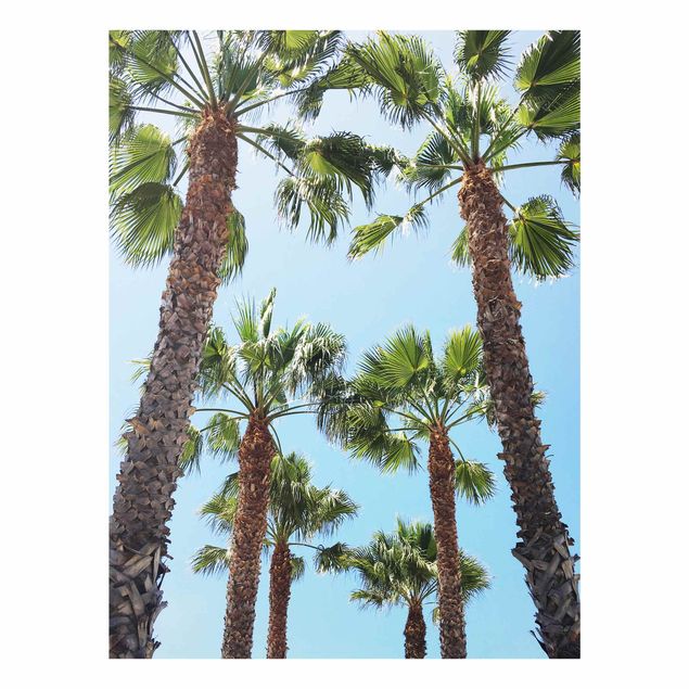 Glastavlor stränder Palm Trees At Venice Beach