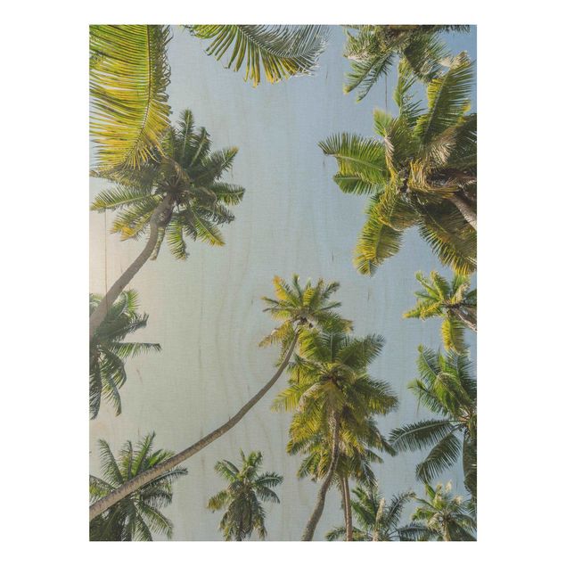 Trätavlor landskap Palm Tree Canopy