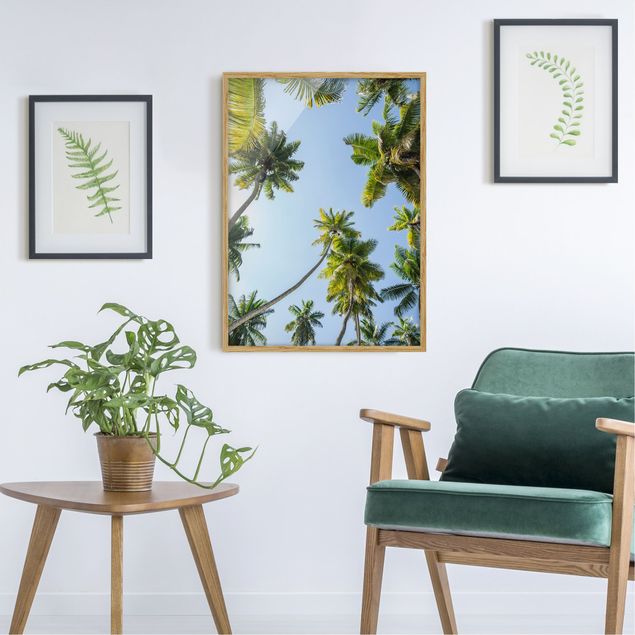 Tavlor med ram landskap Palm Tree Canopy