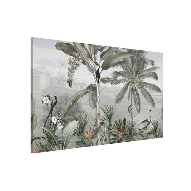 Kök dekoration Birds of paradise in the jungle panorama