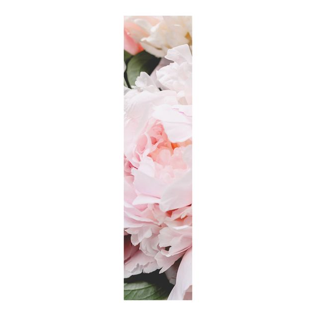 Panelgardiner blommor  Peonies Light Pink