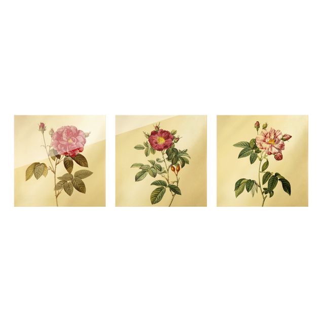 Glastavlor blommor  Pierre Joseph Redouté - Roses