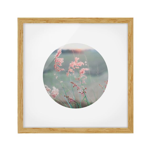 Tavlor blommor  Pink Flowers In A Circle