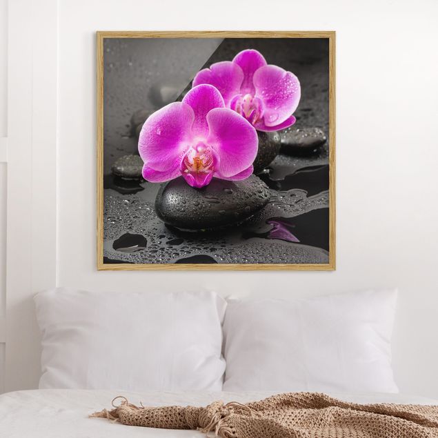 Tavlor orkidéer Pink Orchid Flower On Stones With Drops