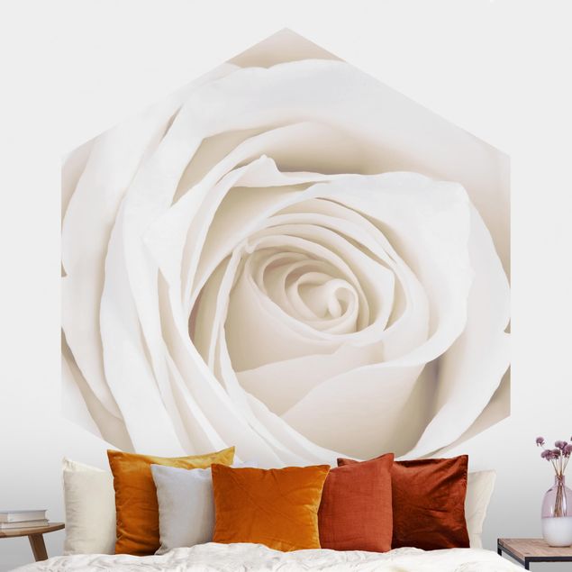 Kök dekoration Pretty White Rose