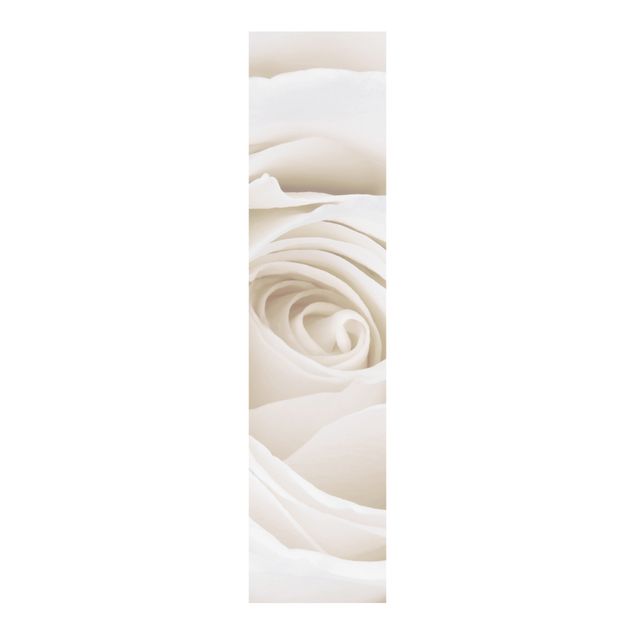 Panelgardiner blommor  Pretty White Rose