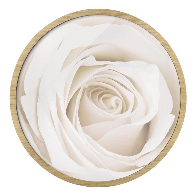 Tavlor med ram Pretty White Rose