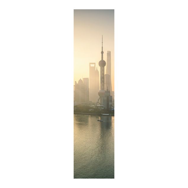 Panelgardiner arkitektur och skyline Pudong At Dawn