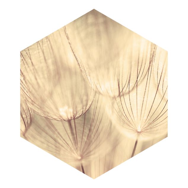 Tapeter Dandelions Close-Up In Cozy Sepia Tones