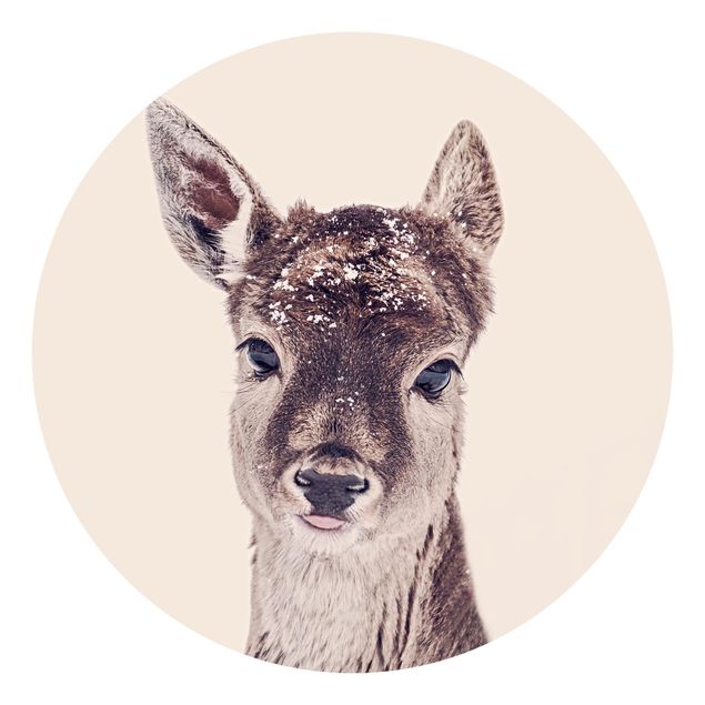 Tapeter Fawn Portrait