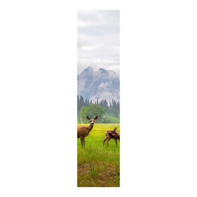 Panelgardiner landskap Deer In The Mountains