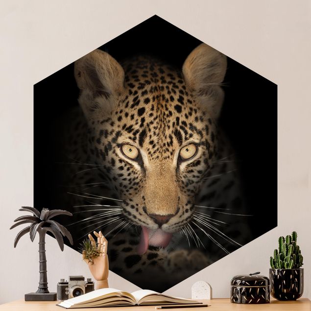 Fototapeter katter Resting Leopard