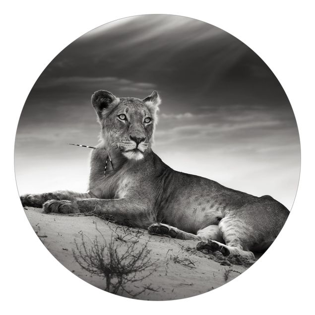 Tapeter modernt Resting Lion