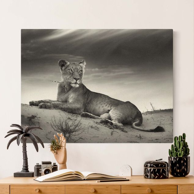 Kök dekoration Resting Lion