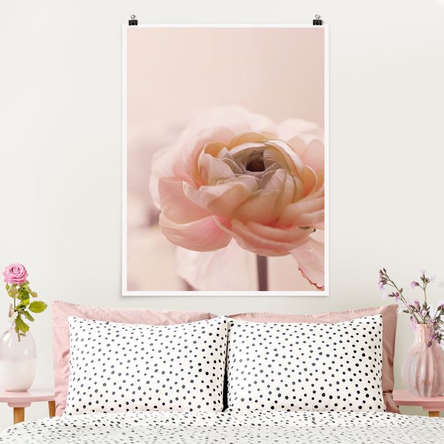Posters blommor  Focus On Light Pink Flower
