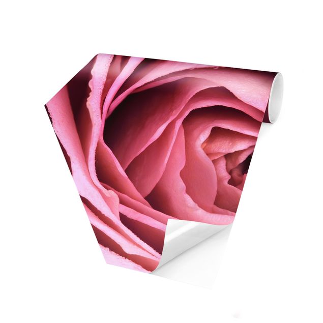 Tapeter modernt Pink Rose Blossom
