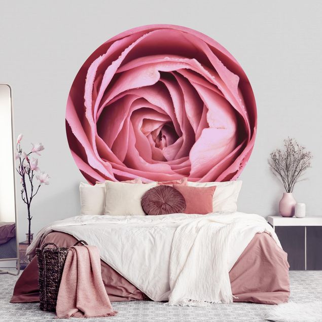 Kök dekoration Pink Rose Blossom