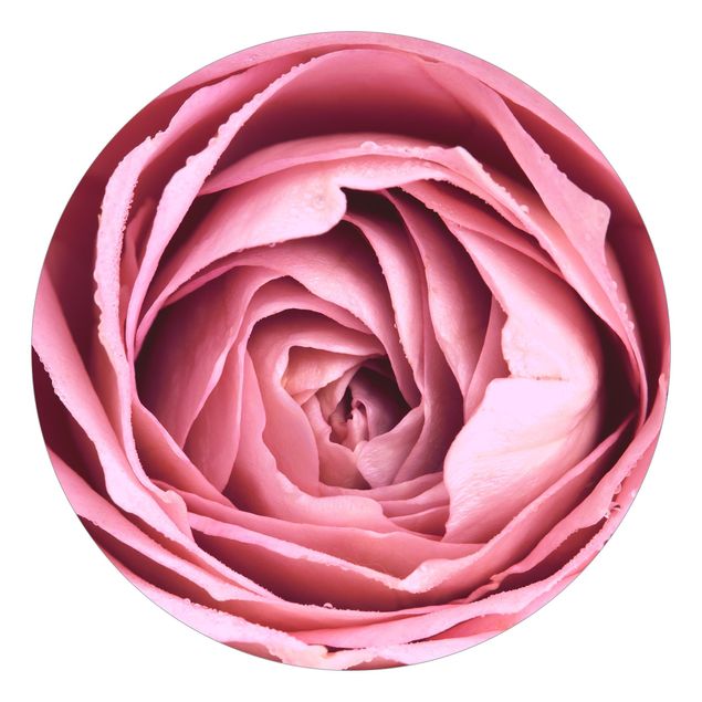 Tapeter lantlig Pink Rose Blossom