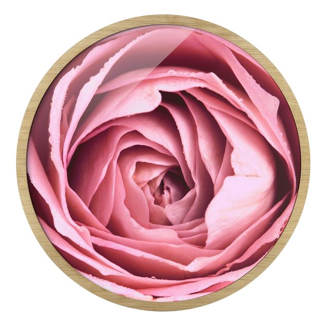 Tavlor Pink Rose Blossom