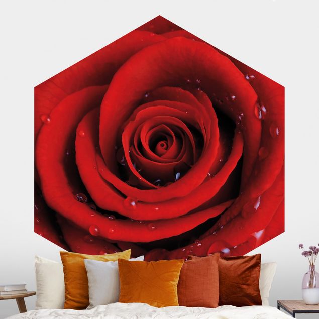 Kök dekoration Red Rose With Water Drops