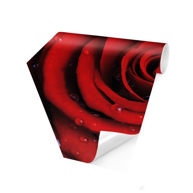 Hexagonala tapeter Red Rose With Water Drops