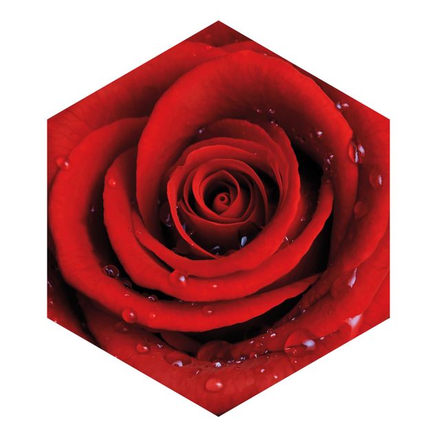 Fototapeter brun Red Rose With Water Drops
