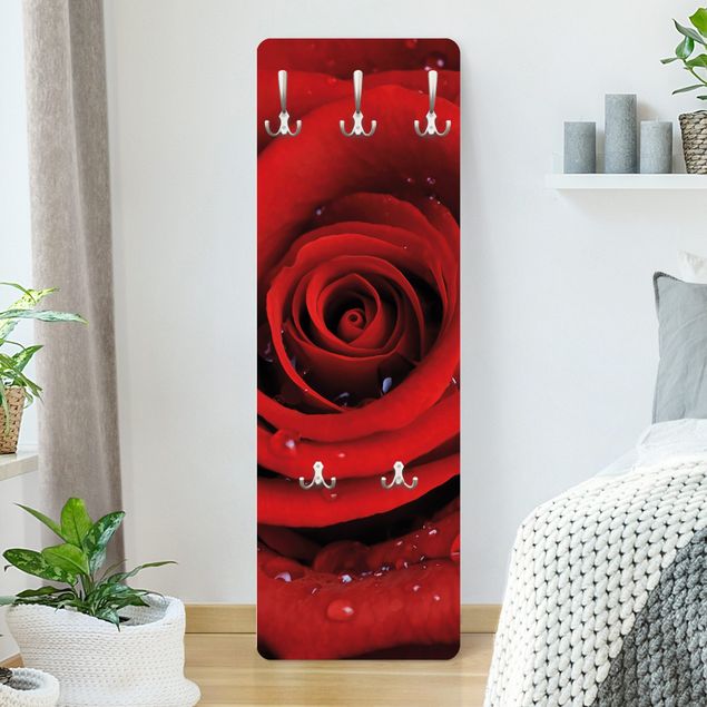 Klädhängare vägg blommor  Red Rose With Water Drops