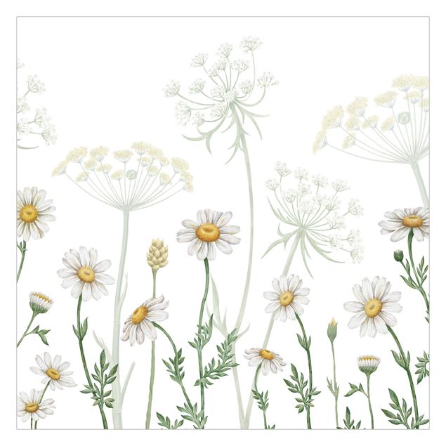 Tapeter Achillea and daisy