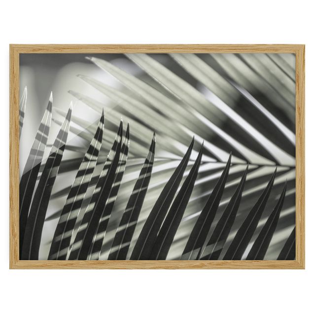 Tavlor blommor Interplay Of Shaddow And Light On Palm Fronds
