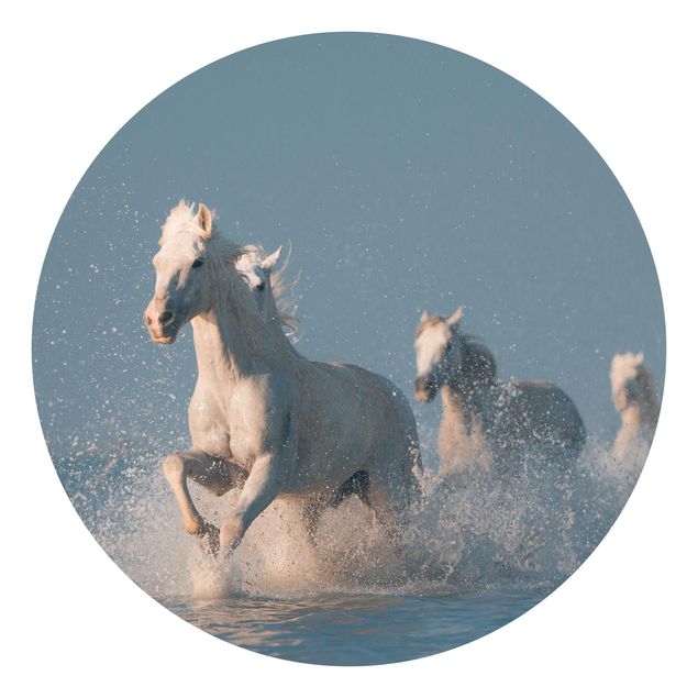 Fototapeter djur Herd Of White Horses