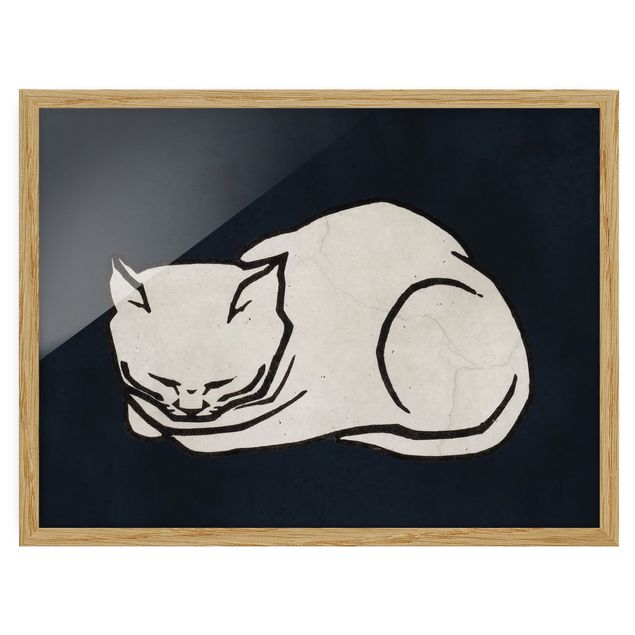 Tavlor med ram djur Sleeping Cat Illustration