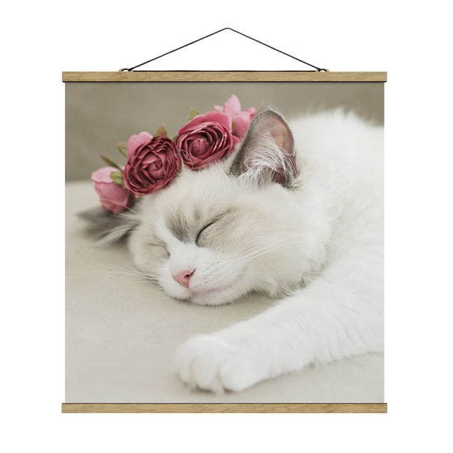 Tavlor blommor  Sleeping Cat with Roses