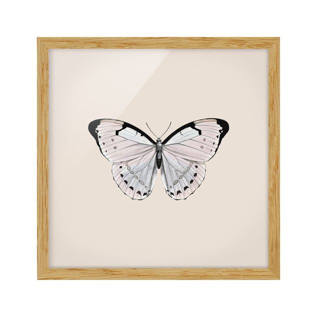 Tavlor modernt Butterfly On Beige